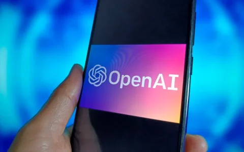 OpenAI新的AI强化微调（Reinforcement Fine-Tuning）可能会改变科学家使用其模型的方式