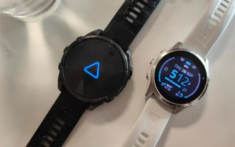 Garmin用户，发表你的看法：在上周的大规模故障之后，你会换智能手表吗？