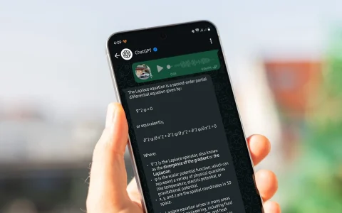想象一下，看到图像，听到声音：ChatGPT在WhatsApp上现在支持图像和语音输入