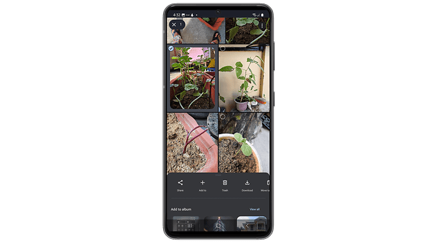 在 Google Photos 中选择多个照片或视频。