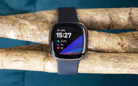 Fitbit 用户失去 Google Assistant：Alexa 是唯一的替代方案吗？