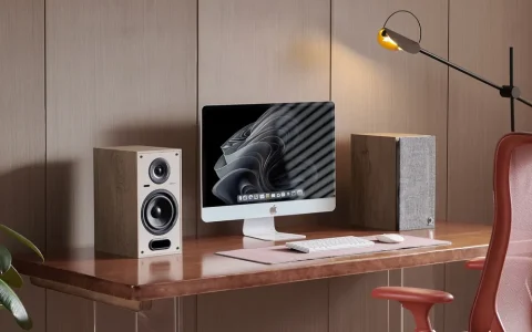 一家优秀的高端音响品牌刚刚发布了两款价格实惠的蓝牙立体声音箱，非常适合现代黑胶唱片系统